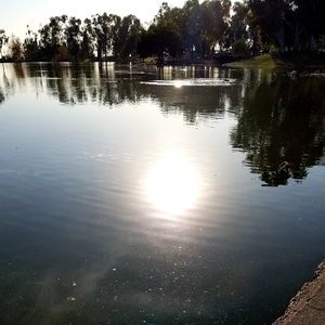 Meet your Posher, Fred